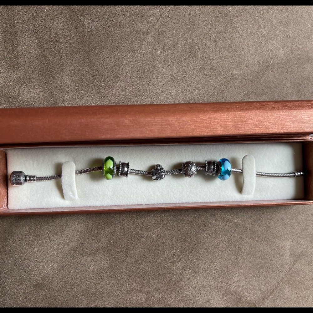 Authentic Pandora Snake Bracelet w/ 6 Pandora Charms (3 Safety Clips)